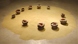 Niklas Goslar: Ernst Gamperl - LVS Gallery, Seoul 2012